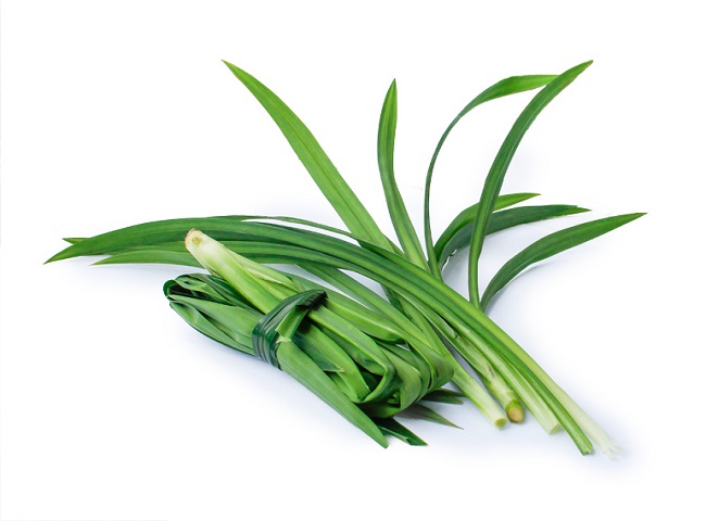 Lá dứa đã được sử dụng r&ocirc;̣ng rãi từ l&acirc;u