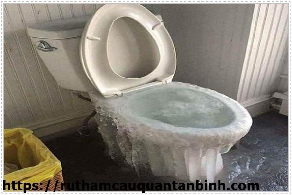 c&aacute;c loại nước th&ocirc;ng c&ocirc;ng n&ecirc;n d&ugrave;ng