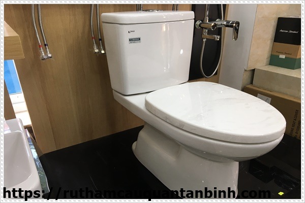 c&aacute;c loại nước th&ocirc;ng c&ocirc;ng tốt nhất
