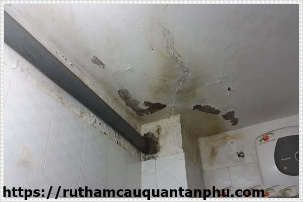 Những cách nào chống thấm sàn nhà vệ sinh hiệu quả