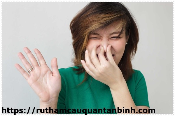 c&aacute;c c&aacute;ch khử m&ugrave;i h&ocirc;i trong ph&ograve;ng k&iacute;n l&agrave; g&igrave;