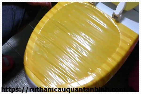 cách thông tắc bồn cầu bị tắc băng vệ sinh là gì